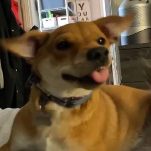 Meet your Posher, Mem